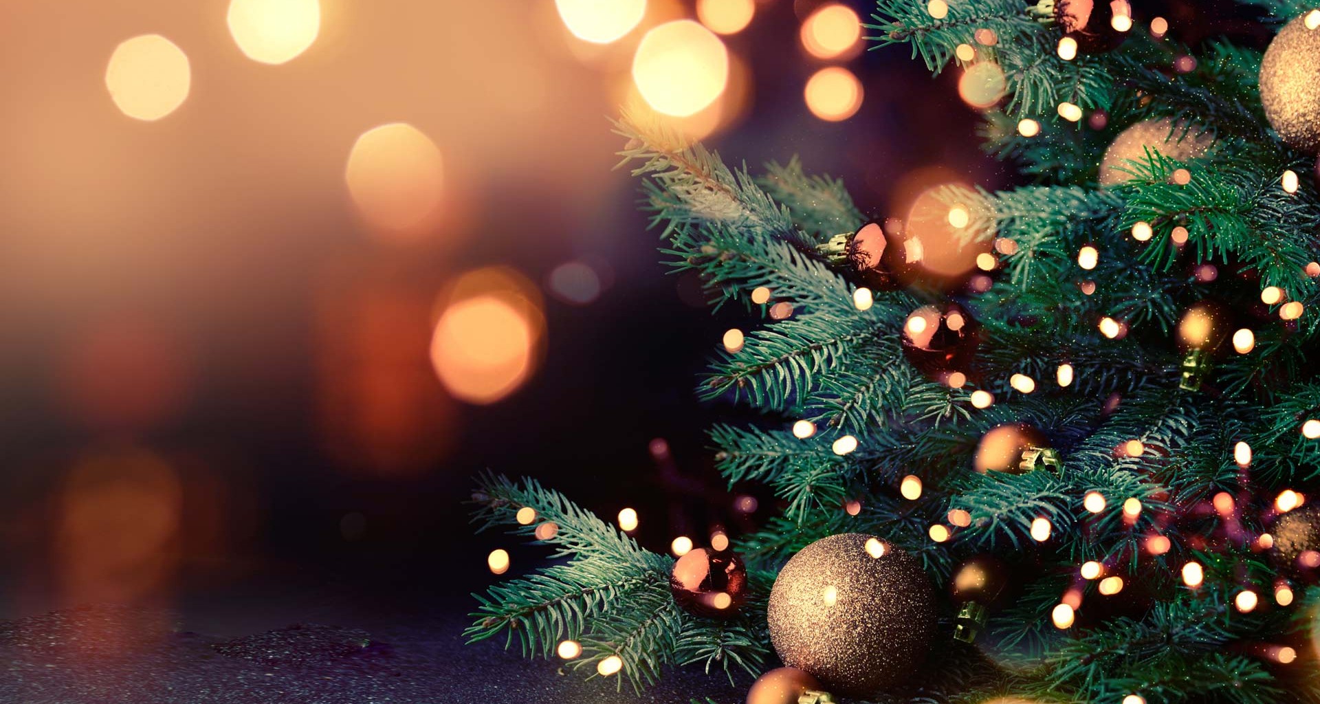 Gobierno se pronuncia sobre festividades de fin de año